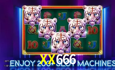 Platform Technology XX666